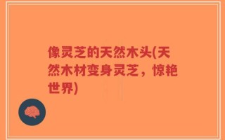 像灵芝的天然木头(天然木材变身灵芝，惊艳世界)