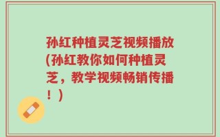 孙红种植灵芝视频播放(孙红教你如何种植灵芝，教学视频畅销传播！)