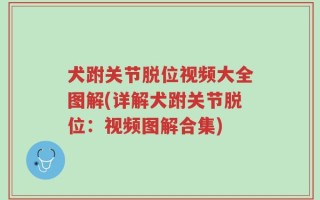 犬跗关节脱位视频大全图解(详解犬跗关节脱位：视频图解合集)