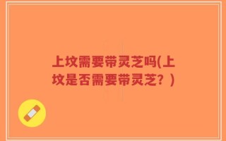 上坟需要带灵芝吗(上坟是否需要带灵芝？)
