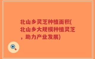 北山乡灵芝种植面积(北山乡大规模种植灵芝，助力产业发展)