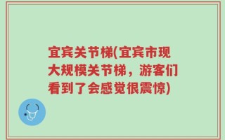 宜宾关节梯(宜宾市现大规模关节梯，游客们看到了会感觉很震惊)
