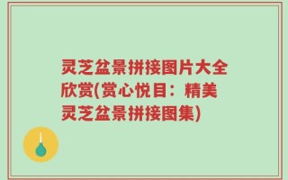 灵芝盆景拼接图片大全欣赏(赏心悦目：精美灵芝盆景拼接图集)