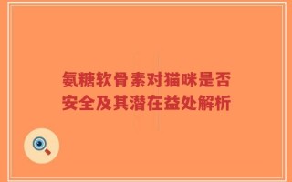 氨糖软骨素对猫咪是否安全及其潜在益处解析