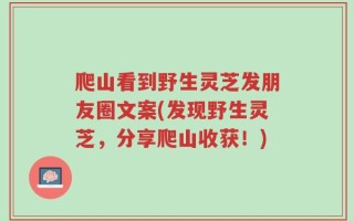 爬山看到野生灵芝发朋友圈文案(发现野生灵芝，分享爬山收获！)