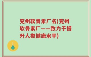 兖州软骨素厂名(兖州软骨素厂——致力于提升人类健康水平)