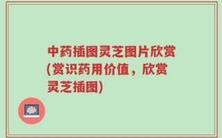 中药插图灵芝图片欣赏(赏识药用价值，欣赏灵芝插图)