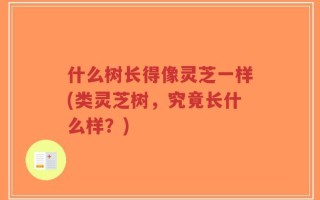 什么树长得像灵芝一样(类灵芝树，究竟长什么样？)