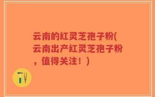 云南的红灵芝孢子粉(云南出产红灵芝孢子粉，值得关注！)