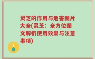 灵芝的作用与危害图片大全(灵芝：全方位图文解析使用效果与注意事项)