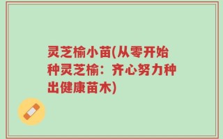 灵芝榆小苗(从零开始种灵芝榆：齐心努力种出健康苗木)