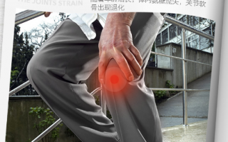 关节问题吃氨糖软骨素有用吗？能够起到什么作用？
