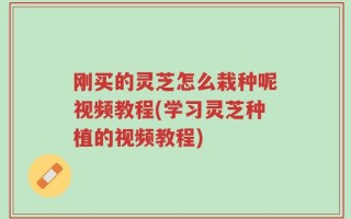 刚买的灵芝怎么栽种呢视频教程(学习灵芝种植的视频教程)