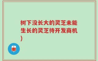 树下没长大的灵芝未能生长的灵芝待开发商机)