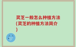 灵芝一般怎么种植方法(灵芝的种植方法简介)