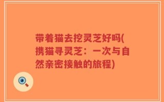 带着猫去挖灵芝好吗(携猫寻灵芝：一次与自然亲密接触的旅程)