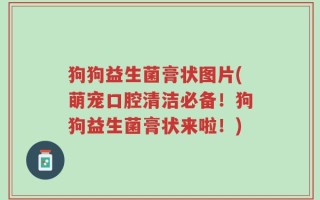 狗狗益生菌膏状图片(萌宠口腔清洁必备！狗狗益生菌膏状来啦！)