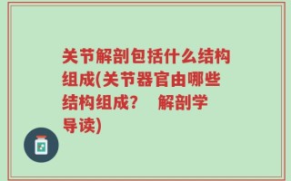 关节解剖包括什么结构组成(关节器官由哪些结构组成？  解剖学导读)