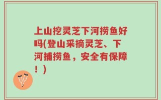 上山挖灵芝下河捞鱼好吗(登山采摘灵芝、下河捕捞鱼，安全有保障！)