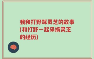 我和打野踩灵芝的故事(和打野一起采摘灵芝的经历)