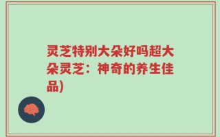 灵芝特别大朵好吗超大朵灵芝：神奇的养生佳品)
