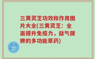 三黄灵芝功效和作用图片大全(三黄灵芝：全面提升免疫力，益气健脾的多功能草药)