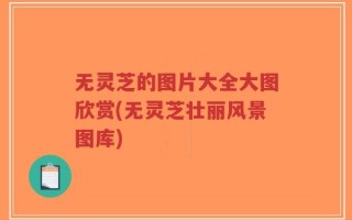 无灵芝的图片大全大图欣赏(无灵芝壮丽风景图库)