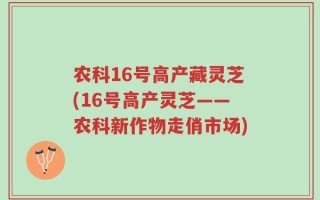 农科16号高产藏灵芝(16号高产灵芝——农科新作物走俏市场)