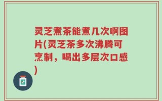 灵芝煮茶能煮几次啊图片(灵芝茶多次沸腾可烹制，喝出多层次口感)