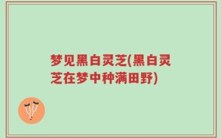 梦见黑白灵芝(黑白灵芝在梦中种满田野)