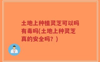 土地上种植灵芝可以吗有毒吗(土地上种灵芝真的安全吗？)
