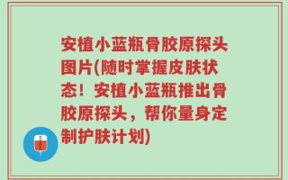 安植小蓝瓶骨胶原探头图片(随时掌握皮肤状态！安植小蓝瓶推出骨胶原探头，帮你量身定制护肤计划)