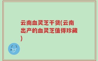 云南血灵芝干货(云南出产的血灵芝值得珍藏)