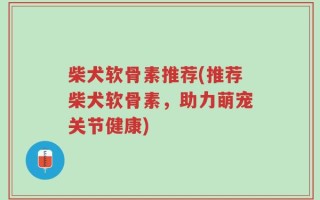 柴犬软骨素推荐(推荐柴犬软骨素，助力萌宠关节健康)