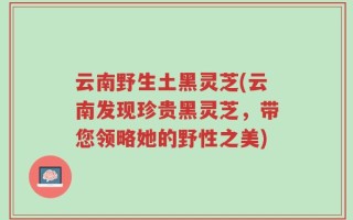 云南野生土黑灵芝(云南发现珍贵黑灵芝，带您领略她的野性之美)
