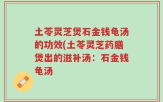 土苓灵芝煲石金钱龟汤的功效(土苓灵芝药膳煲出的滋补汤：石金钱龟汤