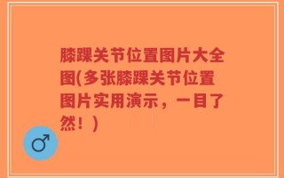 膝踝关节位置图片大全图(多张膝踝关节位置图片实用演示，一目了然！)