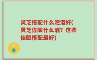 灵芝搭配什么泡酒好(灵芝佐酿什么酒？这些佳酿搭配最好)