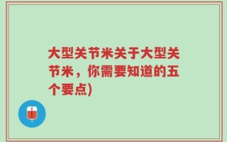 大型关节米关于大型关节米，你需要知道的五个要点)