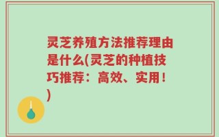 灵芝养殖方法推荐理由是什么(灵芝的种植技巧推荐：高效、实用！)