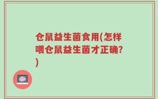 仓鼠益生菌食用(怎样喂仓鼠益生菌才正确？)