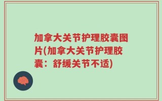 加拿大关节护理胶囊图片(加拿大关节护理胶囊：舒缓关节不适)
