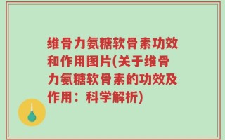 维骨力氨糖软骨素功效和作用图片(关于维骨力氨糖软骨素的功效及作用：科学解析)