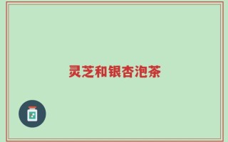 灵芝和银杏泡茶