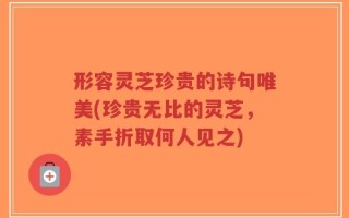 形容灵芝珍贵的诗句唯美(珍贵无比的灵芝，素手折取何人见之)
