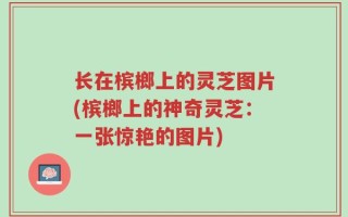 长在槟榔上的灵芝图片(槟榔上的神奇灵芝：一张惊艳的图片)