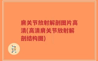 肩关节放射解剖图片高清(高清肩关节放射解剖结构图)