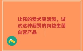 让你的爱犬更活泼，试试这种超赞的狗益生菌自营产品