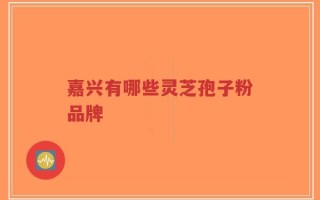 嘉兴有哪些灵芝孢子粉品牌