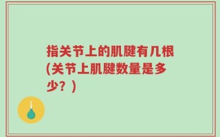 指关节上的肌腱有几根(关节上肌腱数量是多少？)